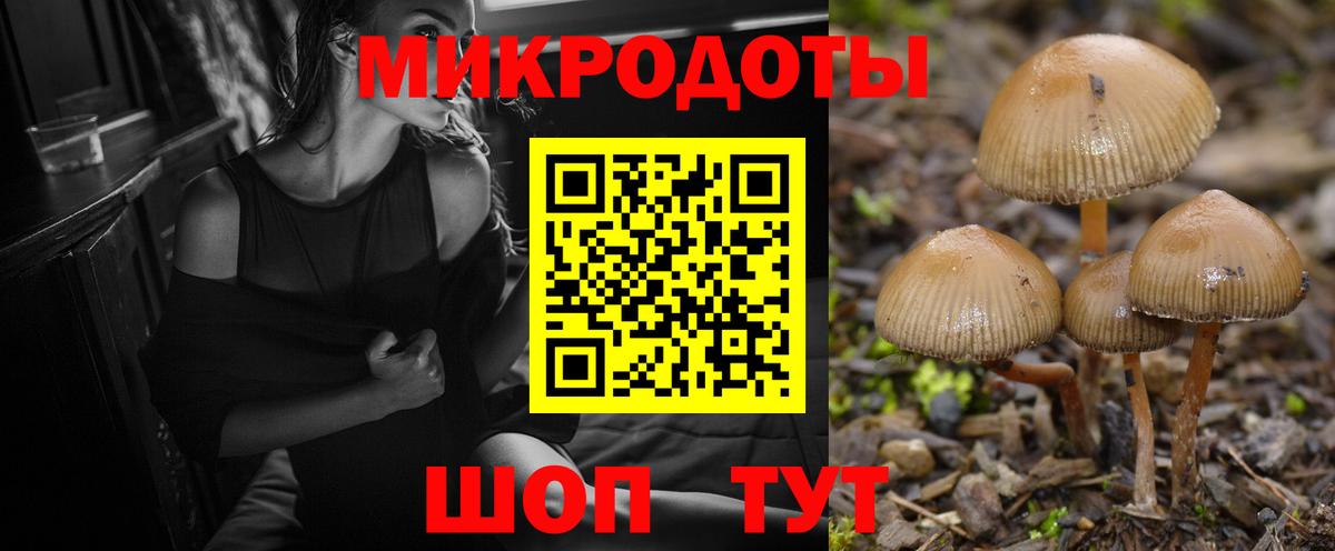 Псилоцибиновые грибы Cubensis  Вход с VPN  Псилоцибиновые грибы мухоморы  Борзя 
